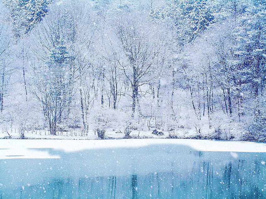 Winter Chirstmas Snowfalling Ice Trees Lake Scenes HD wallpaper
