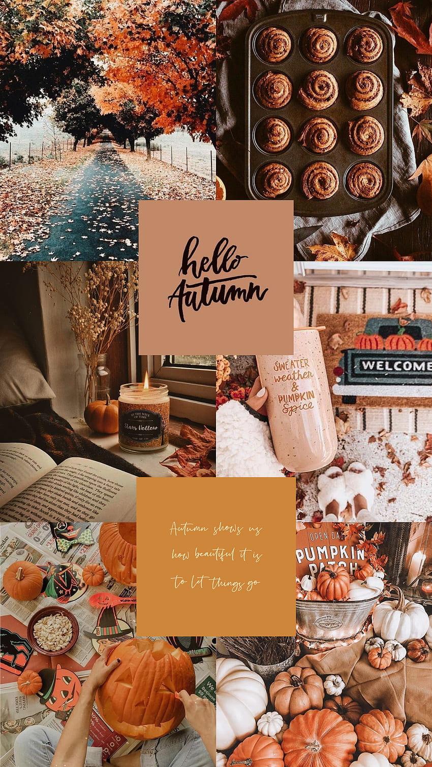 Fall . Explore Tumblr Posts and Blogs, Autumn Collage HD phone ...