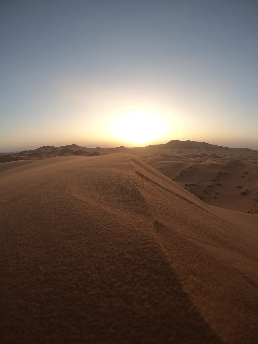 Natura, tramonto, sabbia, deserto, fauna selvatica, dune, collegamenti Sfondo del telefono HD