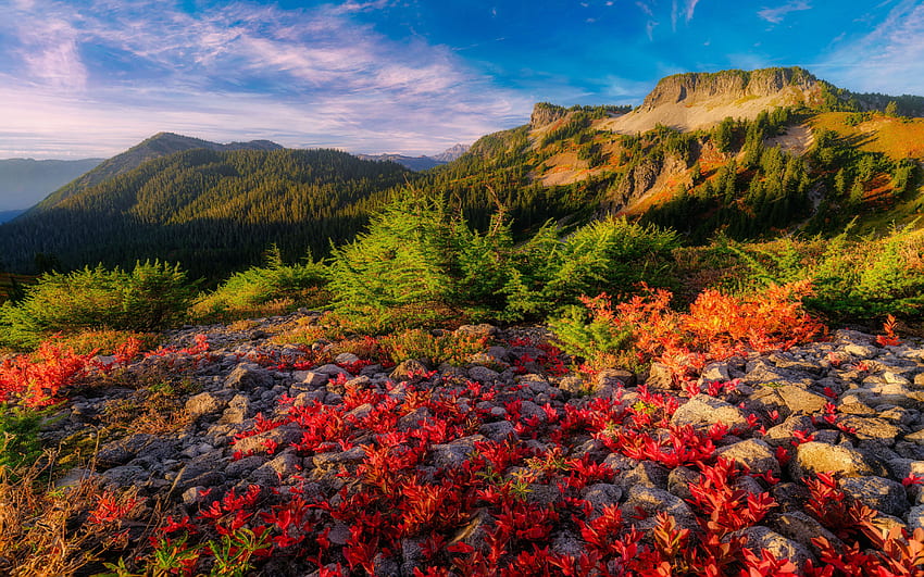 Baker, Washington, tepeler, sonbahar, bulutlar, manzara, sonbahar, renkler, gökyüzü, ABD yakınlarındaki Masa Dağı HD duvar kağıdı