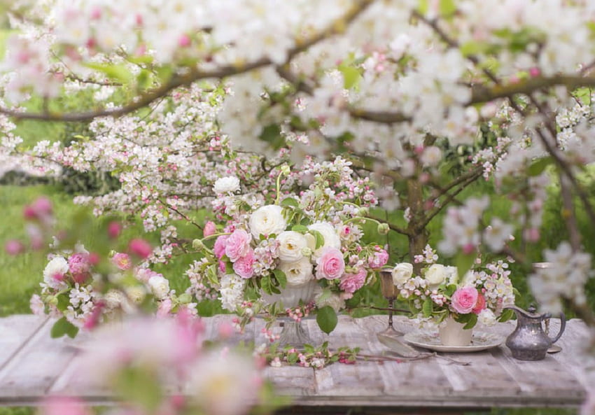 Apple blossoms, still life, table, garden, nature, flowers, spring HD wallpaper