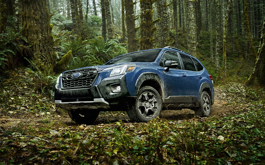 2022, Subaru Forester Wilderness, , front view, exterior, new blue Forester, japanese cars, Subaru HD wallpaper