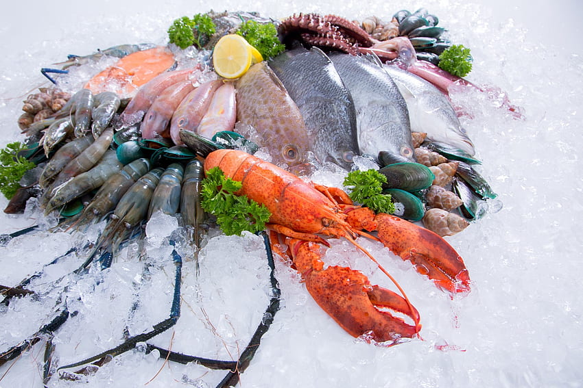Premium . Seafood on ice at the fish market HD wallpaper
