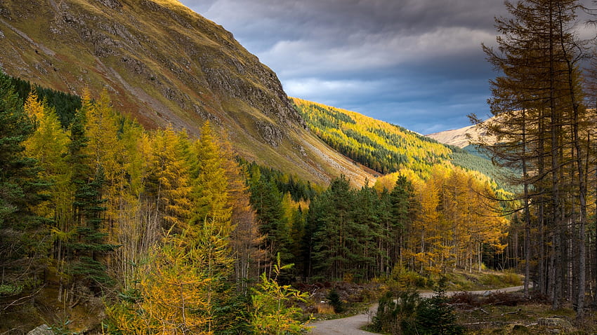 Cairngorms National Park, Scotland, trees, landscape, sky, mountain, clouds HD wallpaper