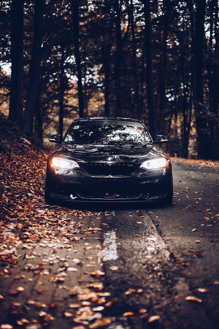 BMW、黒い車, 映画, 秋, 木の葉, 道、自動車 HD電話の壁紙