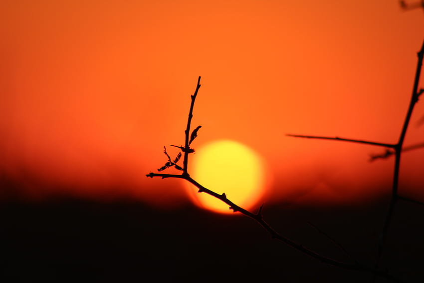 ITAP eines Sonnenuntergangs in Botswana HD-Hintergrundbild