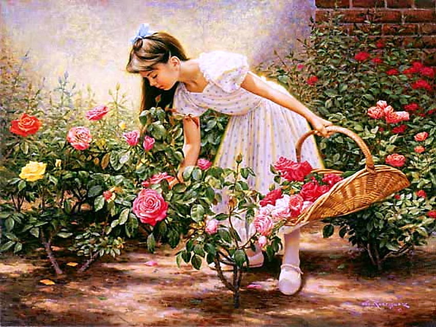 Roseto, estate, cesto, raccogliere fiori, rose, ragazza Sfondo HD