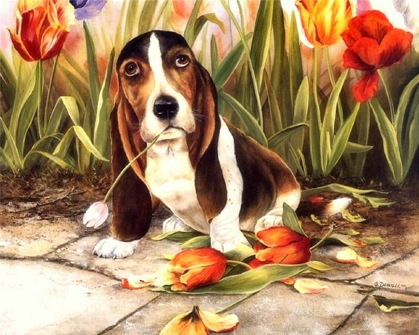 Dogs & Tulips, love four seasons, animals, dogs, draw and paint, cute, paintings, tulips HD wallpaper