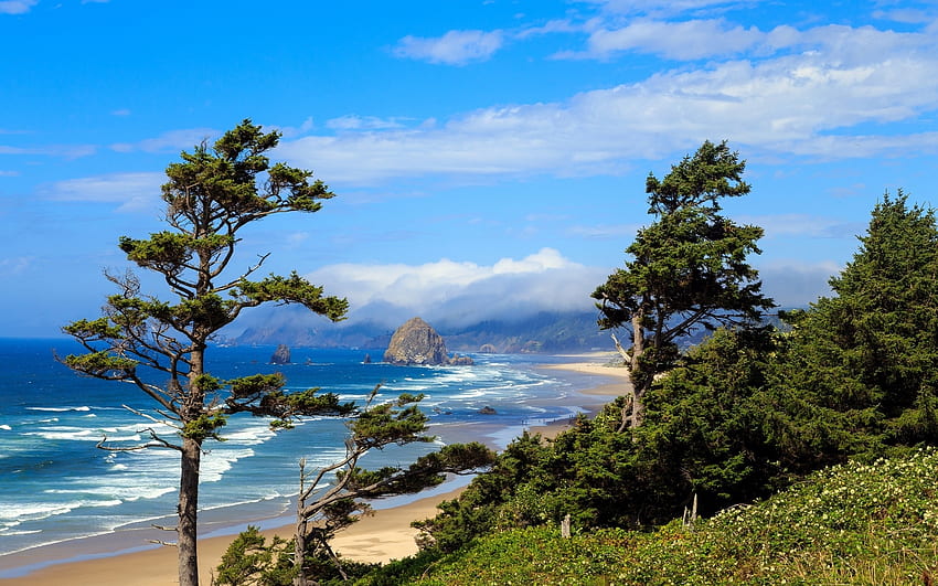 Oregon Beach, mare, sabbia, oregon, costa, rocce, spiaggia, surf, alberi, natura, oceano Sfondo HD