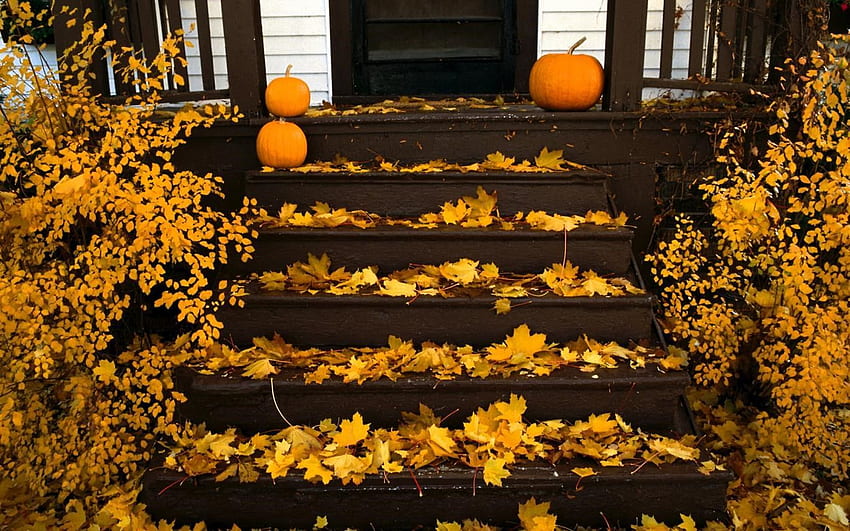 Steigen Sie in die Stimmung der Kürbissaison mit einem Windows 10-Paket mit Halloween-Thema ein MSPoweruser, Herbsthalloween HD-Hintergrundbild