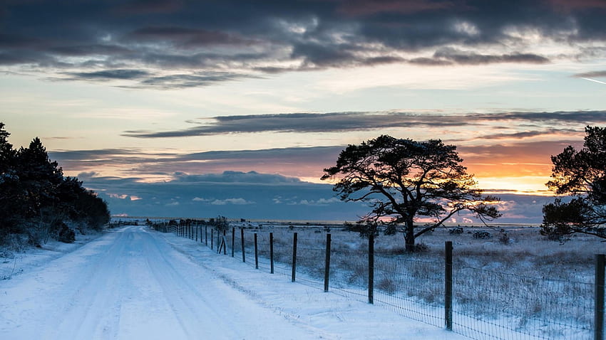 winter road at sunset, winter, clouds, fencemfields, road, sunset, tree HD wallpaper