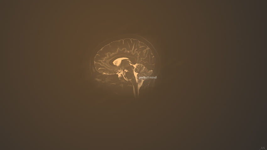 abstracto, naranja, marrón, cerebro, mente, rayas :: fondo de pantalla