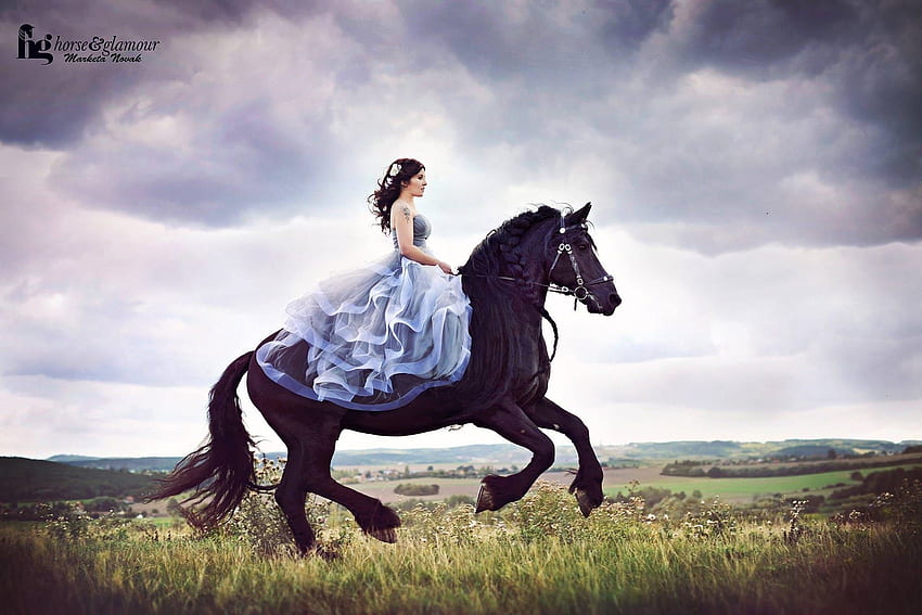 :), girl, cal, dress, blue, animal, black, horse, model, running, woman, marketa novak HD wallpaper