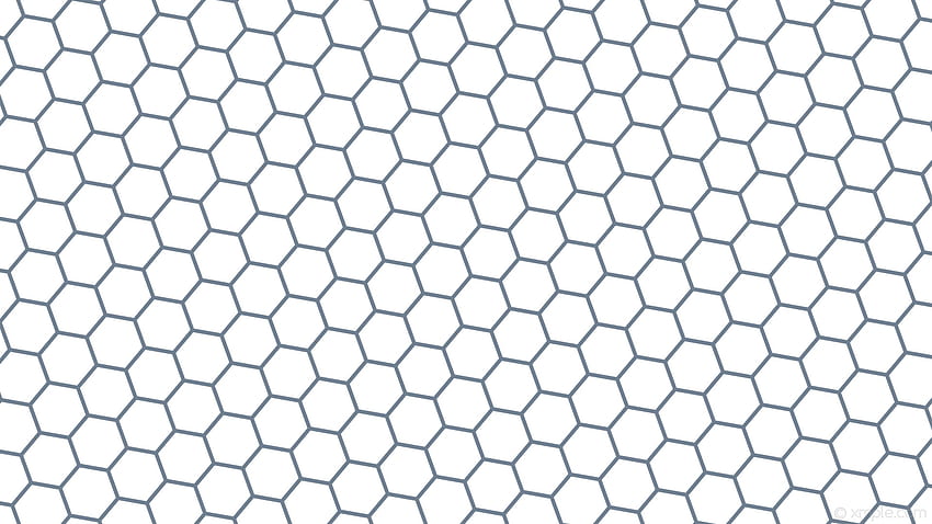 beehive white hexagon honeycomb grey slate gray HD wallpaper