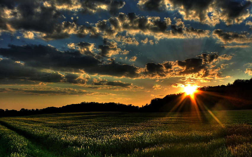 FIRST SPRING MORNING หญ้า ฤดูใบไม้ผลิ พระอาทิตย์ขึ้น ทิวทัศน์ ลม ฟิลด์ เมฆ ต้นไม้ ธรรมชาติ ดวงอาทิตย์ ป่า วอลล์เปเปอร์ HD