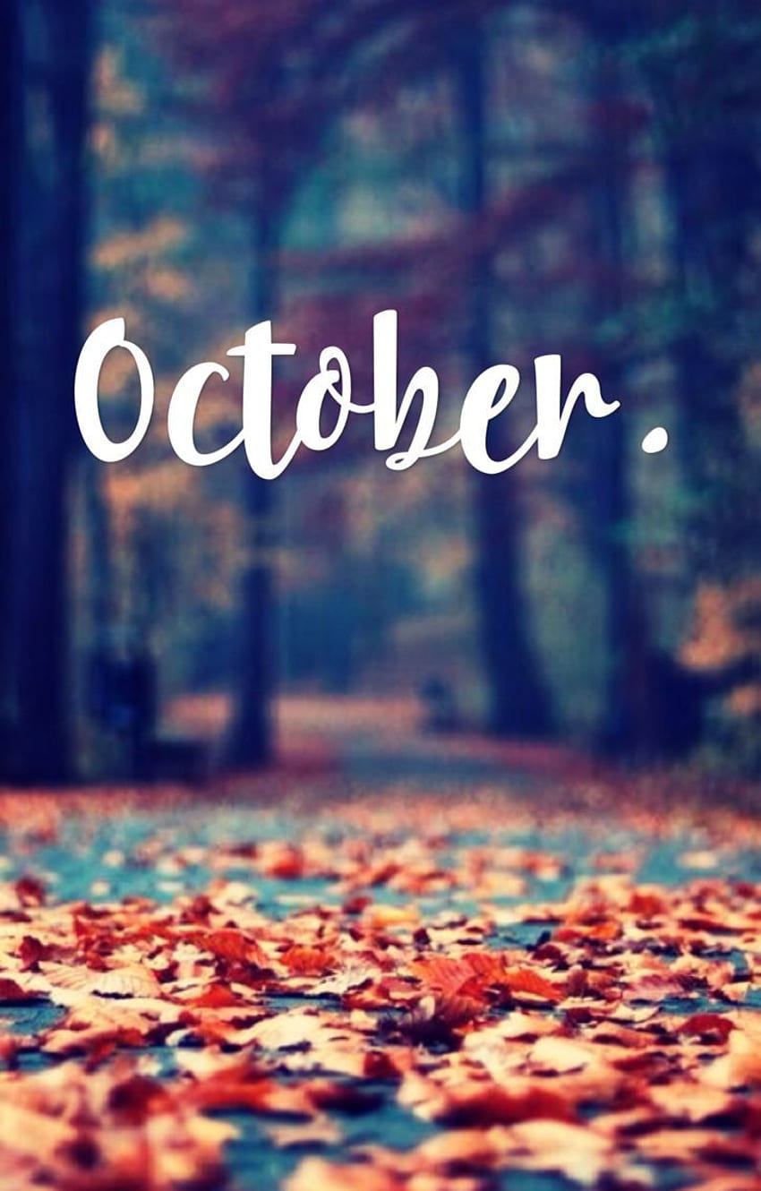 best October . Seasons of the year, Autumn, October Scenery HD phone wallpaper