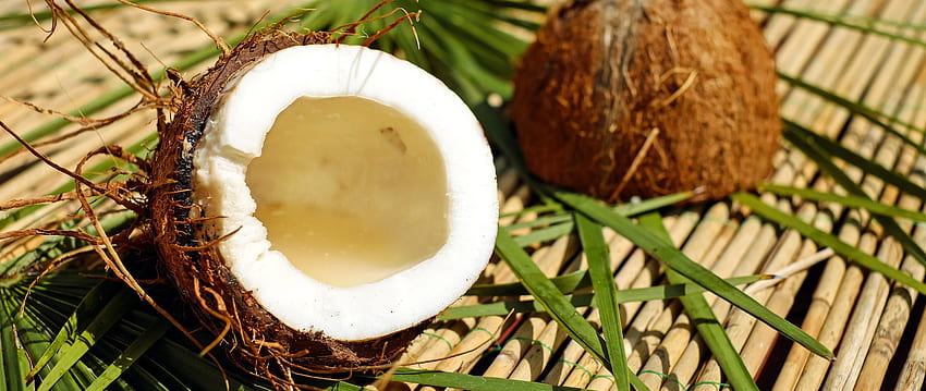 Coconut for and Mobiles Ultra HD wallpaper | Pxfuel