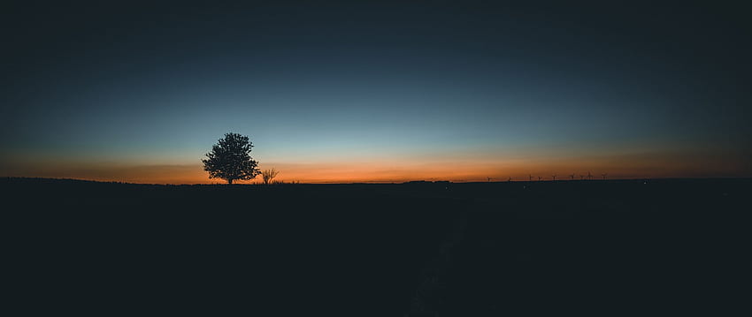 albero, orizzonte, minimalismo, tramonto, 2560X1080 Minimalist Sfondo HD