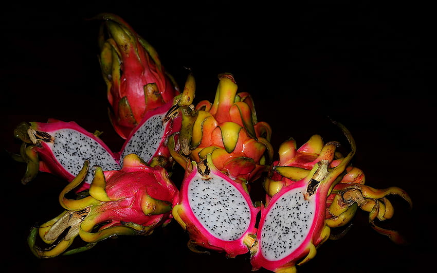 This is a dragon fruit this means its bad right  rwhatsthisplant