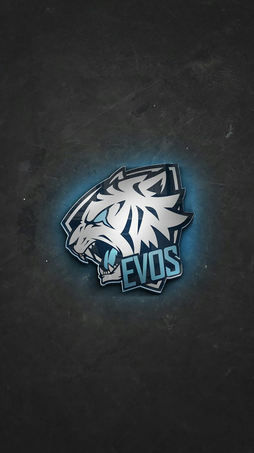 Logo Evos, EVOS Esports HD-Handy-Hintergrundbild
