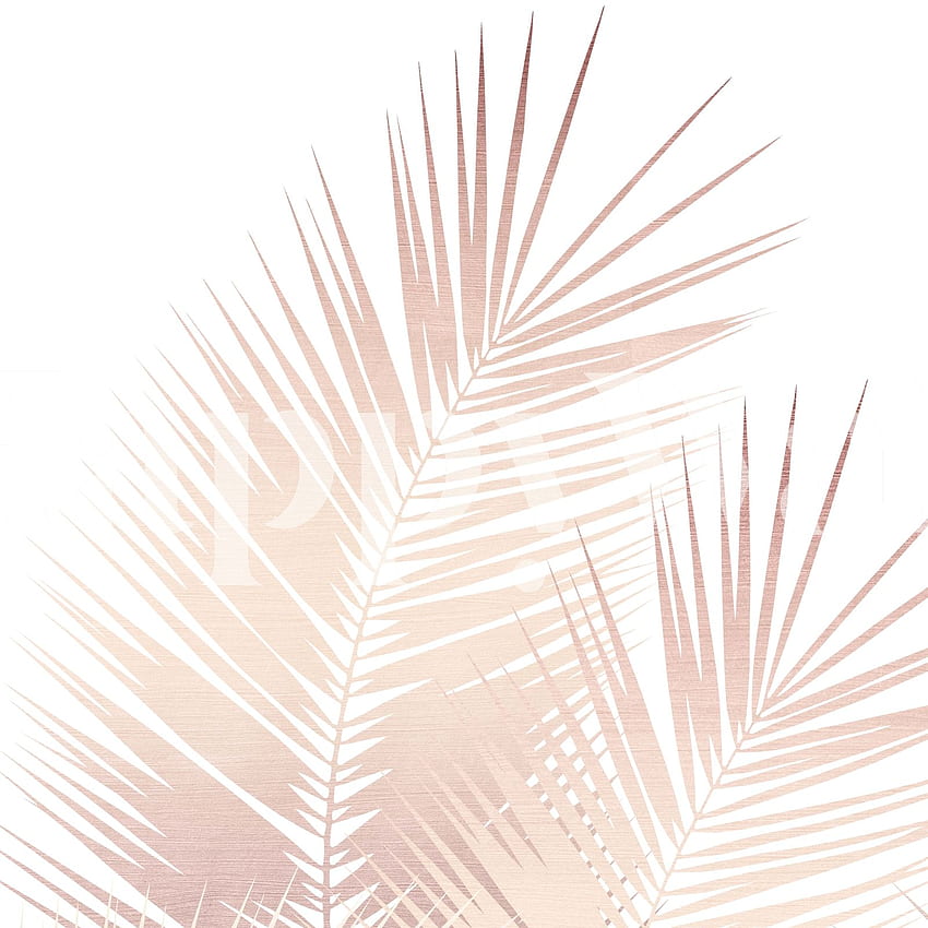 Buy Rose Gold Palm Leaves Dream 1 - US shipping, Gold Palm Leaf HD phone wallpaper