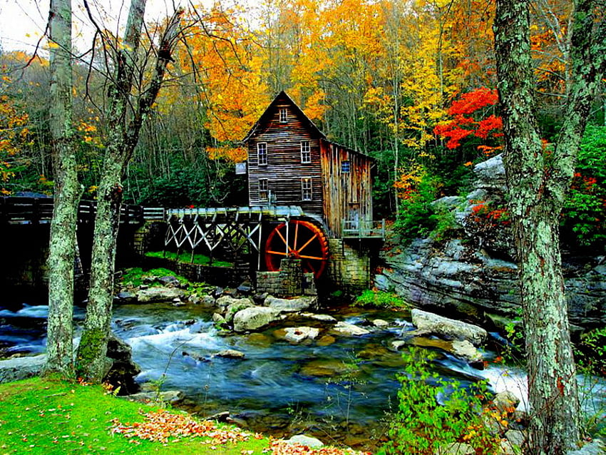 Eine Mühle, Fluss, Bach, Schrot, Mühle, schön, Holz, Bäume, Wasser, Wald HD-Hintergrundbild