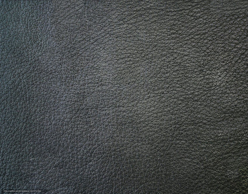 skin, gray, leather in HD wallpaper