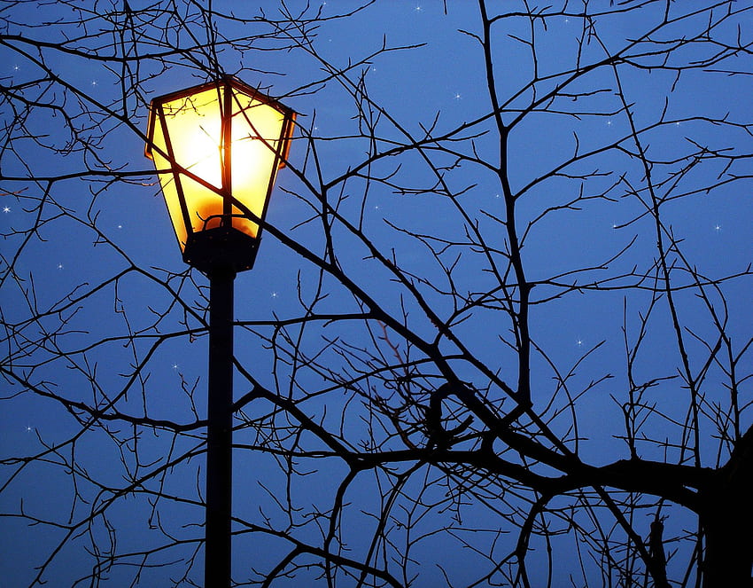 lamp post. Lamp post, Full HD wallpaper