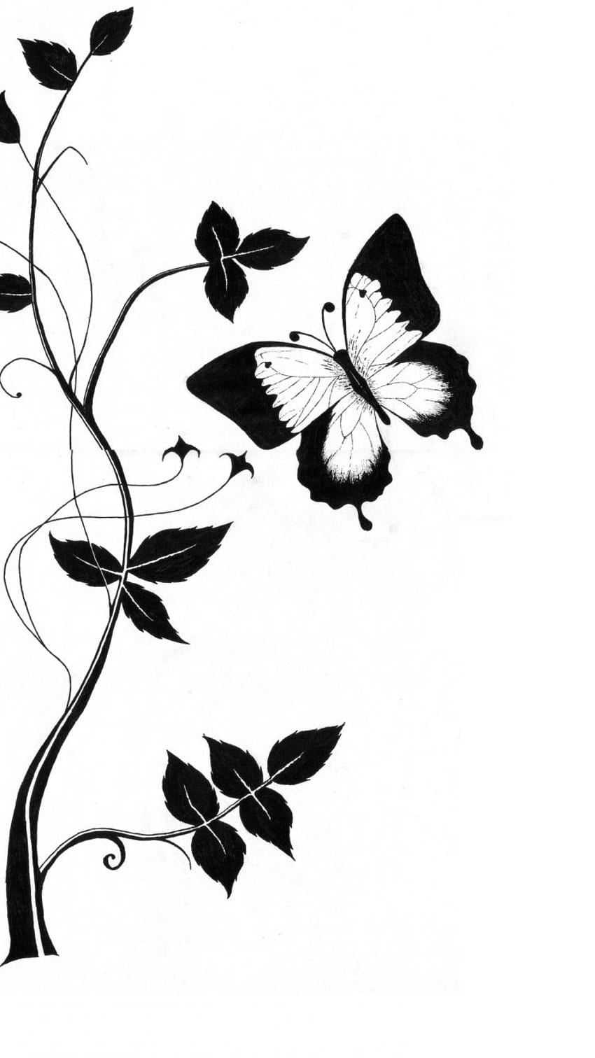 Cute Butterfly Line Drawing Clip Art [] para seu celular e tablet. Explorar desenhos fofos. Desenhos fofos, desenhos de gatos fofos, desenhos de meninas, desenho de linha preto e branco Papel de parede de celular HD