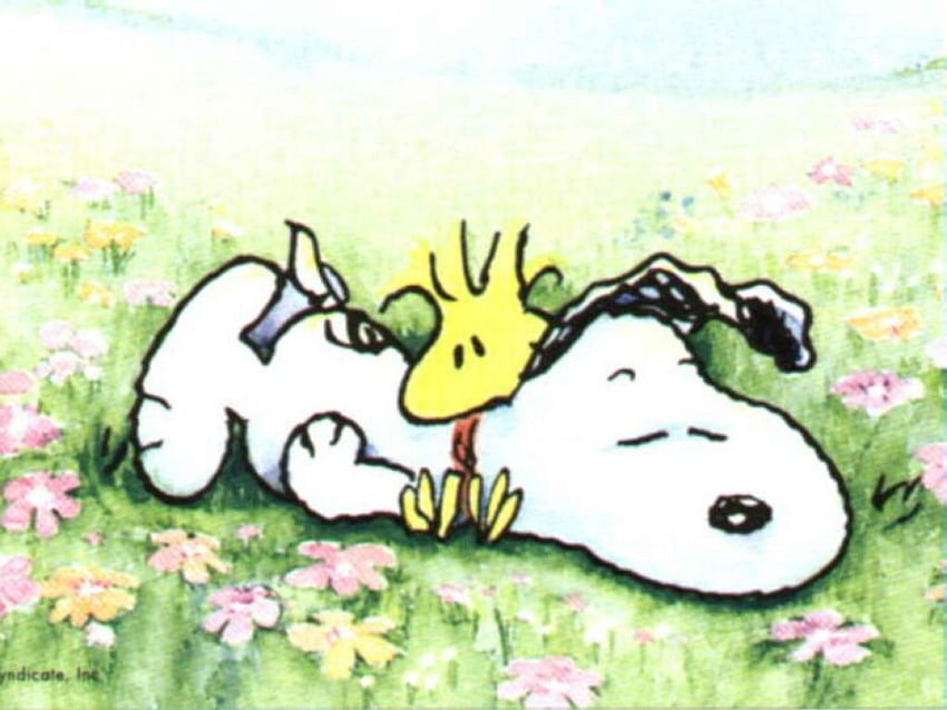 Ainda é primavera Snoopy, Snoopy Summer papel de parede HD