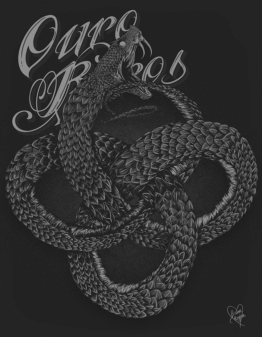 Ouroboros Hd Phone Wallpaper Pxfuel