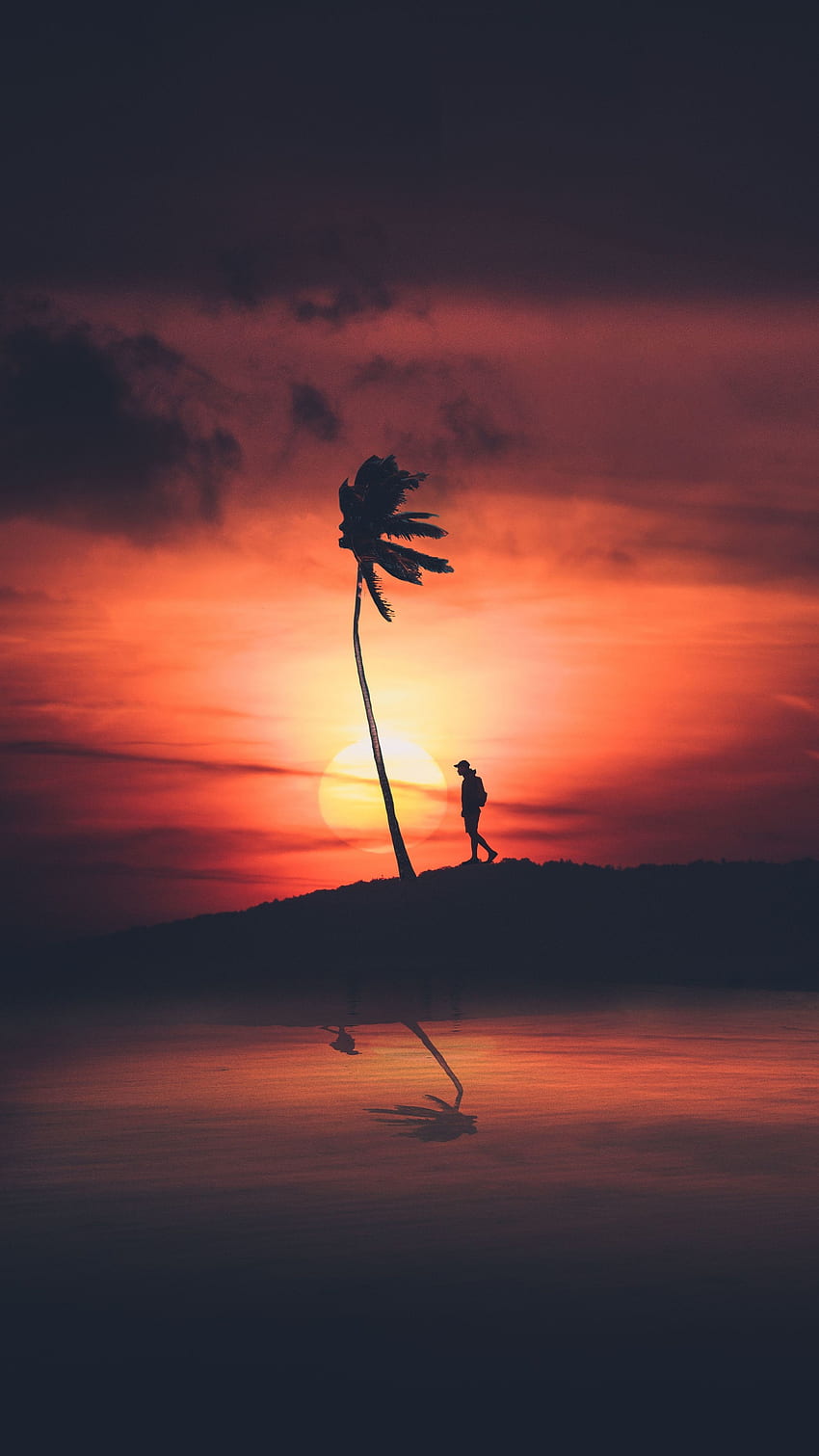 Man and palm tree, silhouette, sunset, . iPhone sky, Sunset , Night sky painting, Tree Silhouette HD phone wallpaper