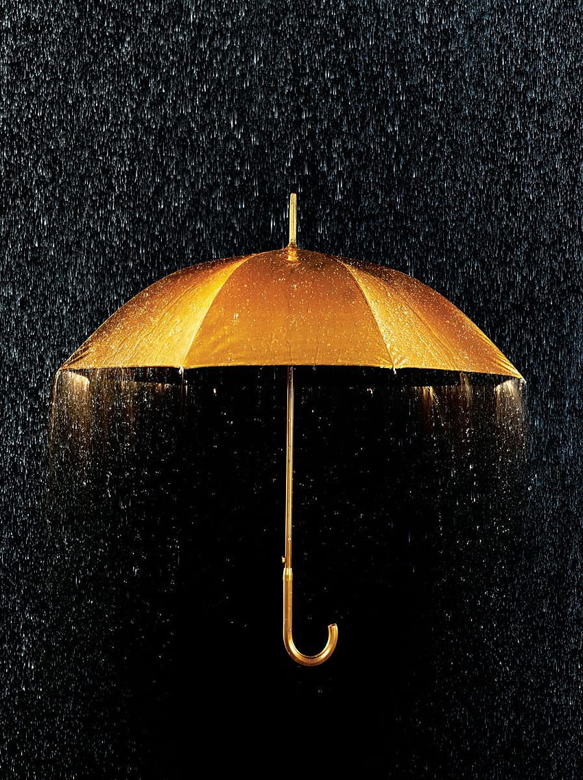 Gold Gold Umbrella + Rain. Conceptual Still Life – Annabelle Breakey graphy. Still Life + Foo. Black and gold aesthetic, Black gold jewelry, Gold aesthetic, Vintage Umbrella HD phone wallpaper