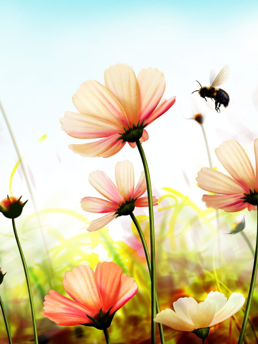 Nature Flowers Background of Your Choice [] for your , Mobile ...