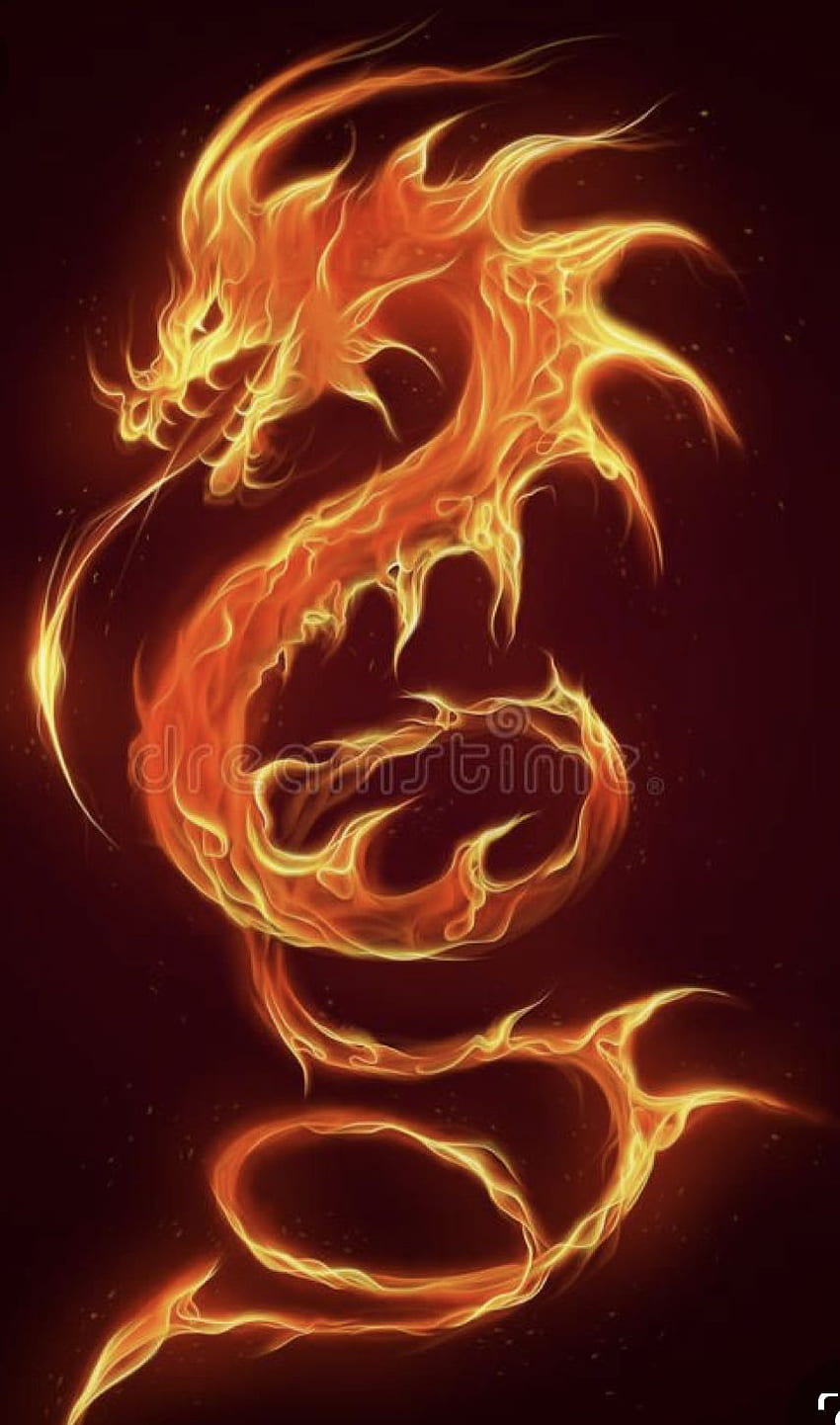 Fantasy creatures, Fire Dragon Phone HD phone wallpaper