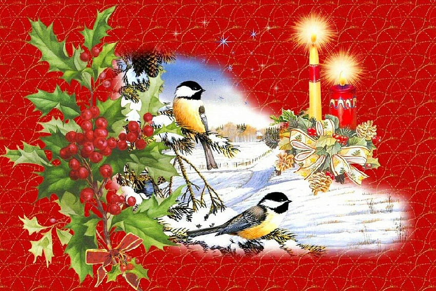 Noel, Vögel, schön, Urlaub, Kerzen, Neujahr, Beeren, Flamme, schön, frisch, Dekoration, hübsch, Weihnachten, Lichter, rot, Zweige, schön HD-Hintergrundbild