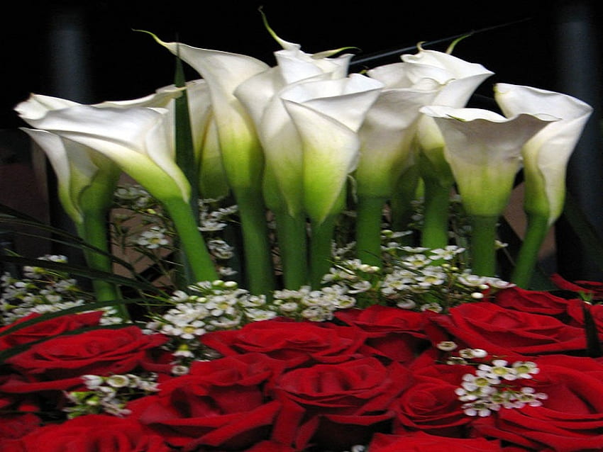 Fleurs mélangées, blanches, roses, rouges, nature, fleurs Fond d'écran HD