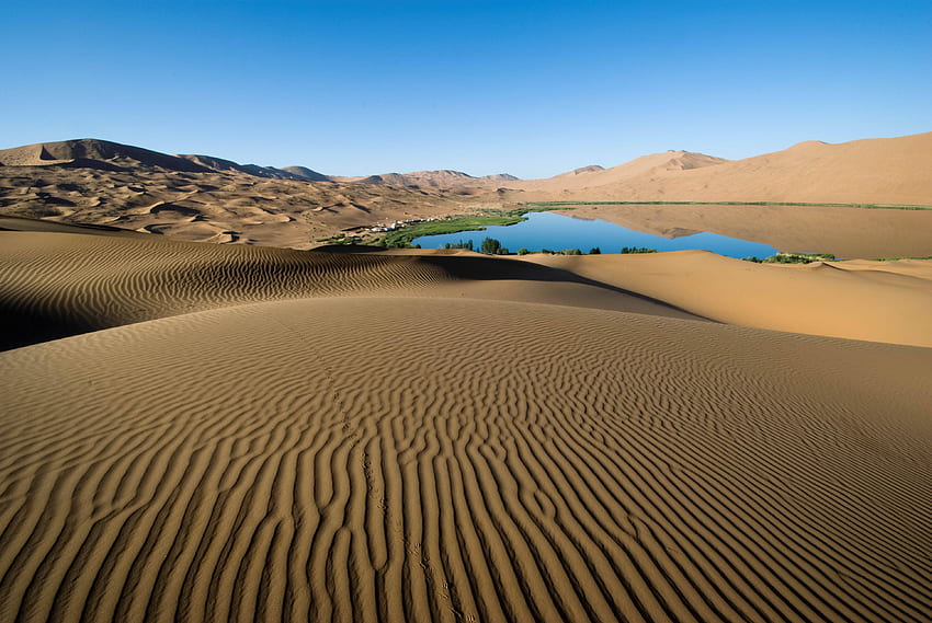 природа, пясък, пустиня, модели, езеро, бряг, линии, растителност, брегове, оазис HD тапет