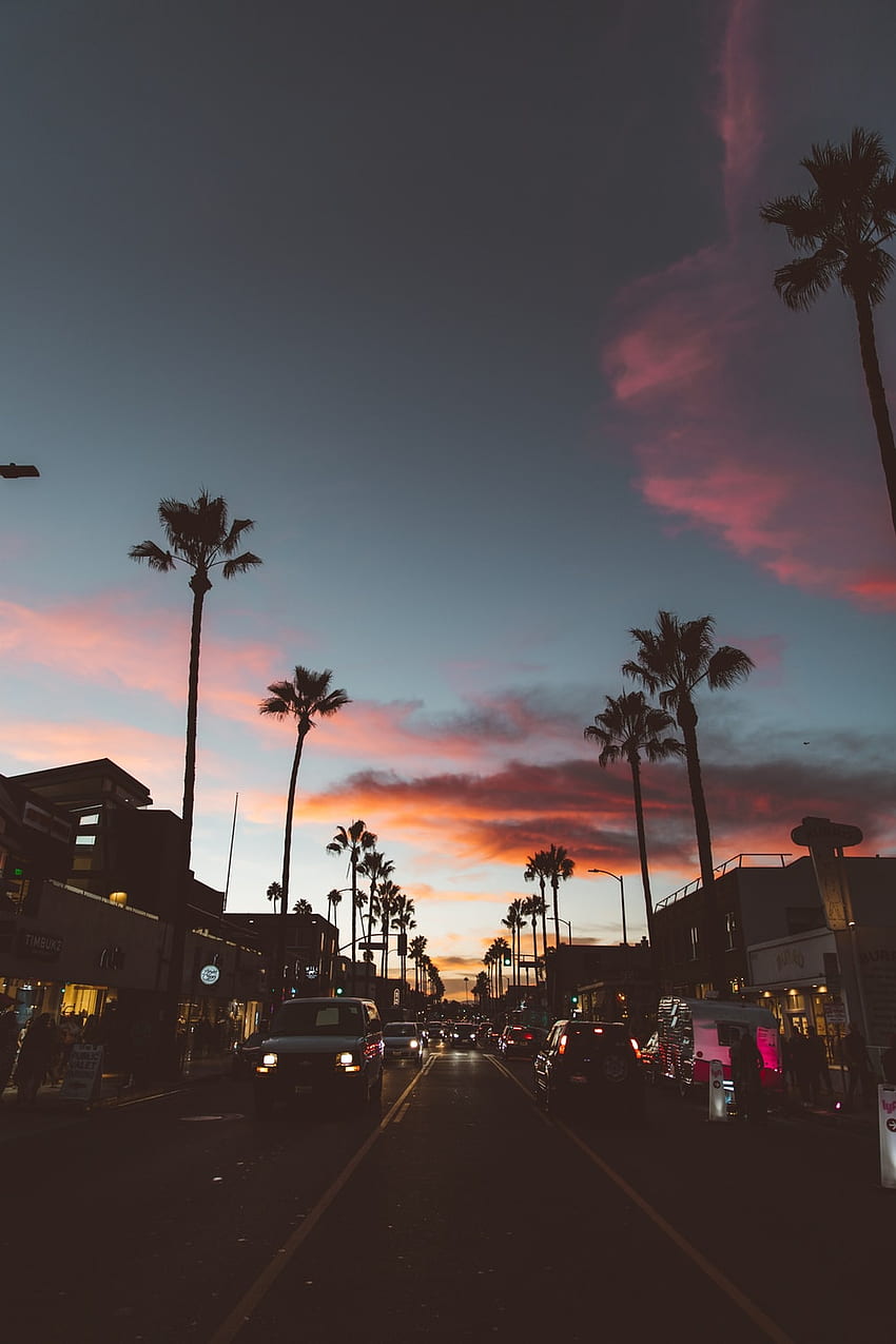Los Angeles Sunset, California Palm Trees Sunset HD phone wallpaper