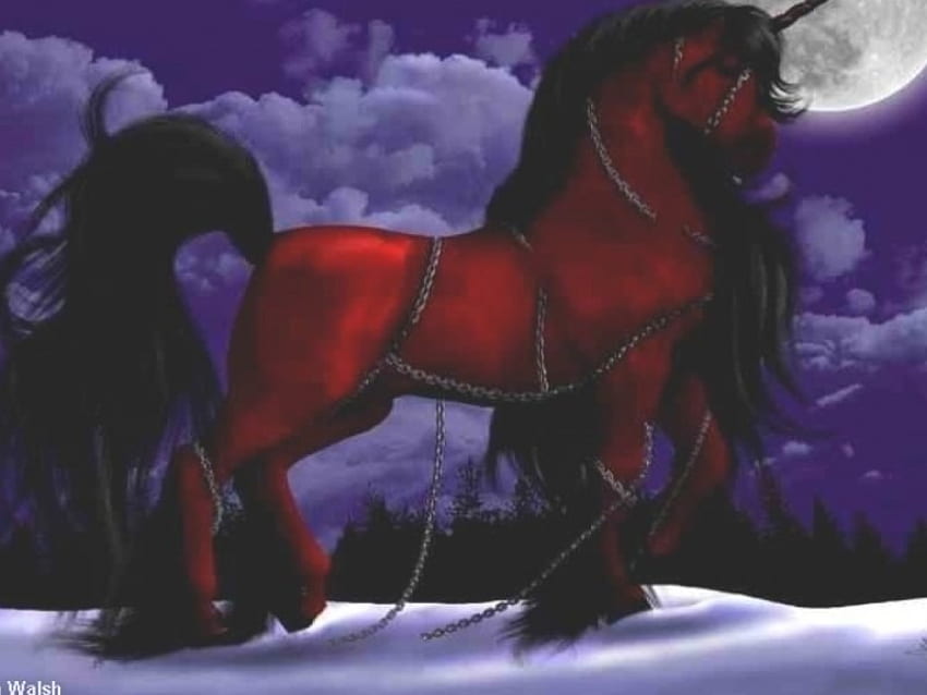 yakut kırmızısı atlar, gece, gökyüzü, karanlık HD duvar kağıdı