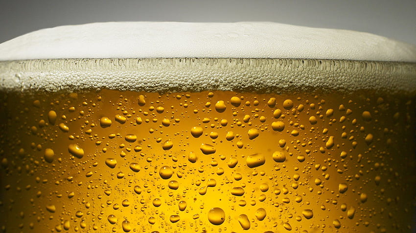 맥주 트위터 배경. 맥주 , St. Patrick's Beer and Beer Bubble, 맥주 HD 월페이퍼