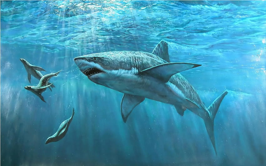 Megalodón, Tiburón fondo de pantalla