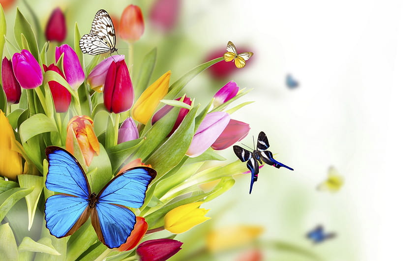 ハッピー イースター!、青、カラフル、ハッピー イースター、蝶、花、イースター、素晴らしさ 高画質の壁紙