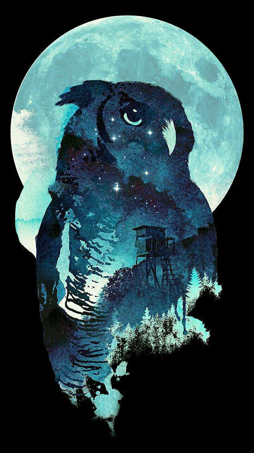 . Seni hewan roh, Hewan, Burung Hantu, Burung Hantu Tengah Malam wallpaper ponsel HD