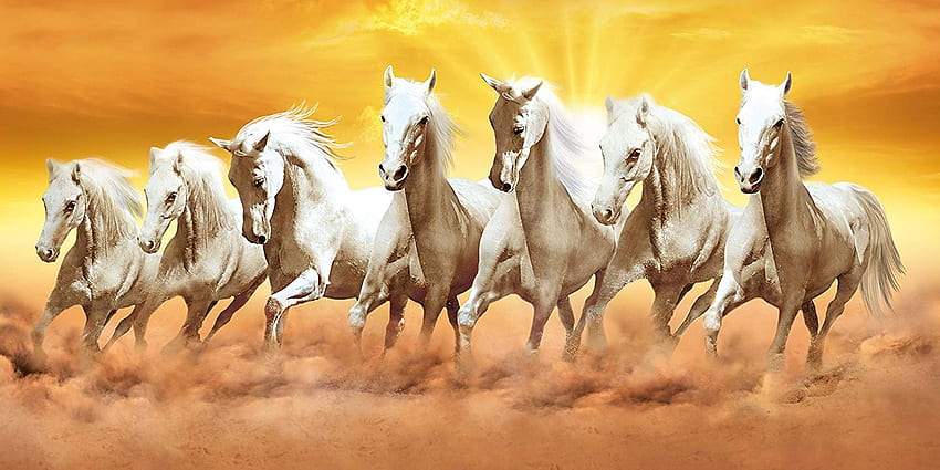 7 horses HD wallpapers | Pxfuel