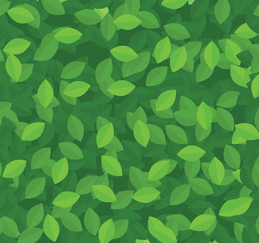 Rouleau de motif de feuilles vertes pour la décoration intérieure. Texturas, Textura, Artistes, Motif Feuille Fond d'écran HD