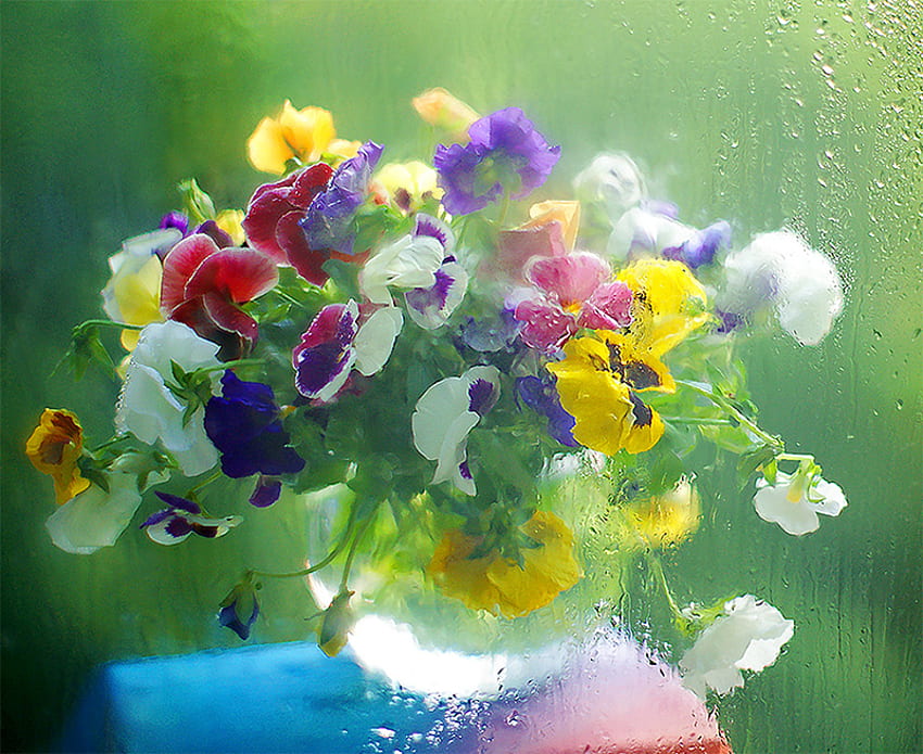 De belles fleurs humides, blanches, humides, jaunes, de belles fleurs, des couleurs, des fleurs, des gouttes d'eau, de la beauté Fond d'écran HD