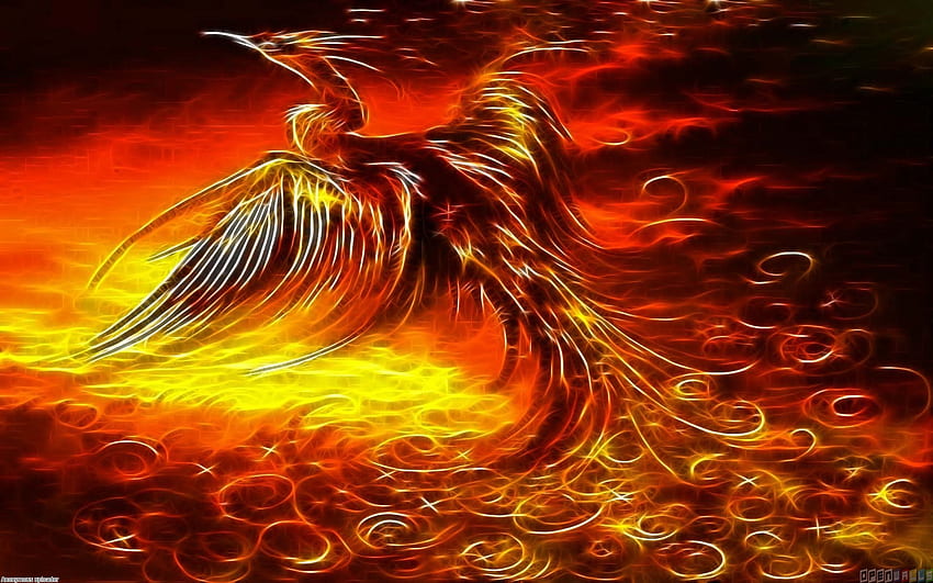 Phoenix Bird 623748 [] for your , Mobile & Tablet. Explore Phoenix . Phoenix Wright , Phoenix , Blue Phoenix , Mythical Phoenix HD wallpaper