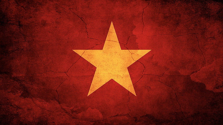 Flag of Vietnam Full and Background . HD wallpaper