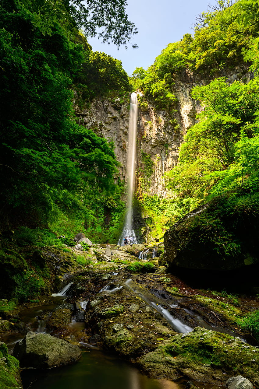 Plants, Nature, Rock, Waterfall, Break, Precipice HD phone wallpaper